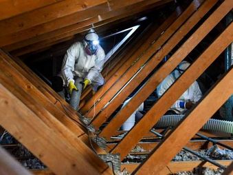 Men in Attic